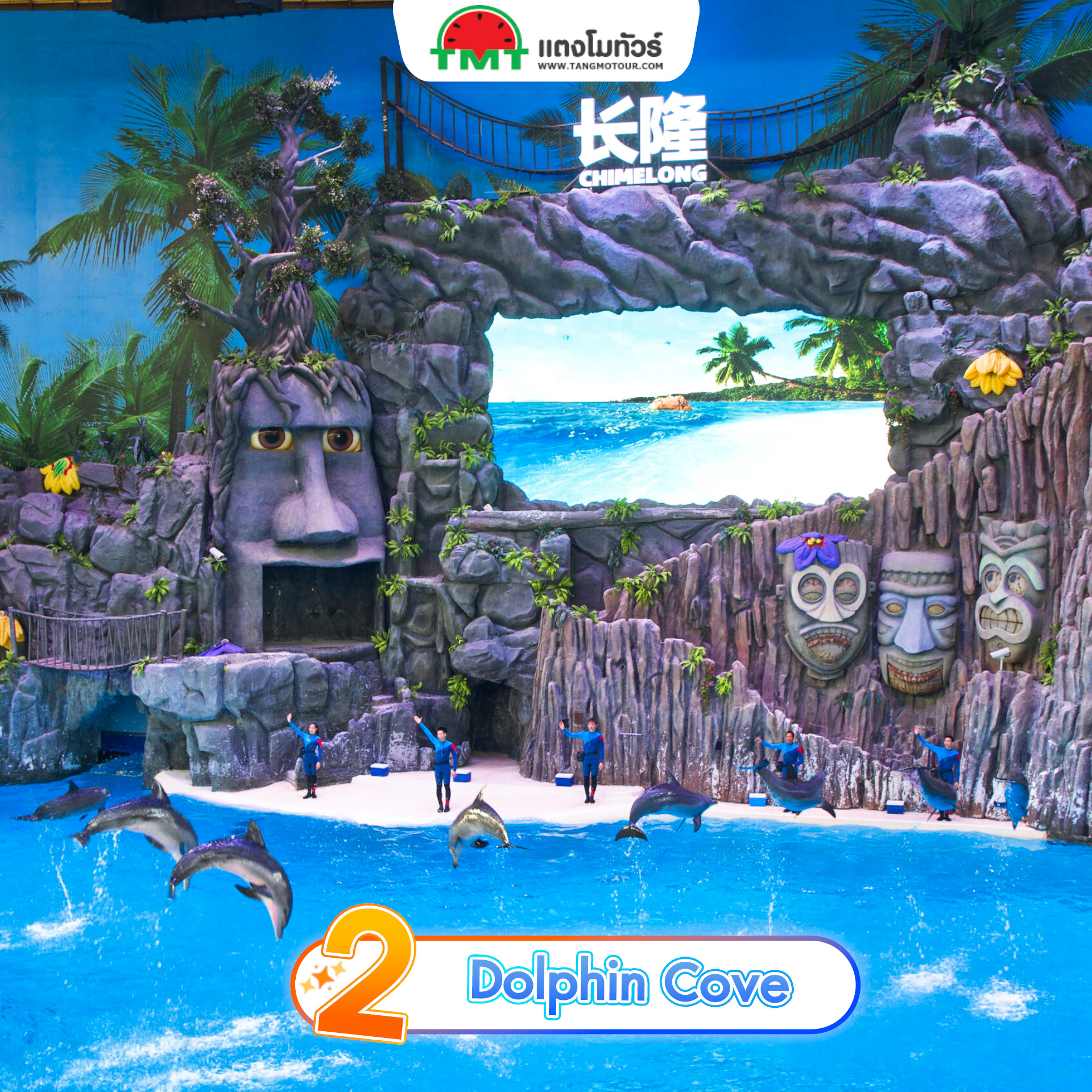 โซน Dolphin Cove