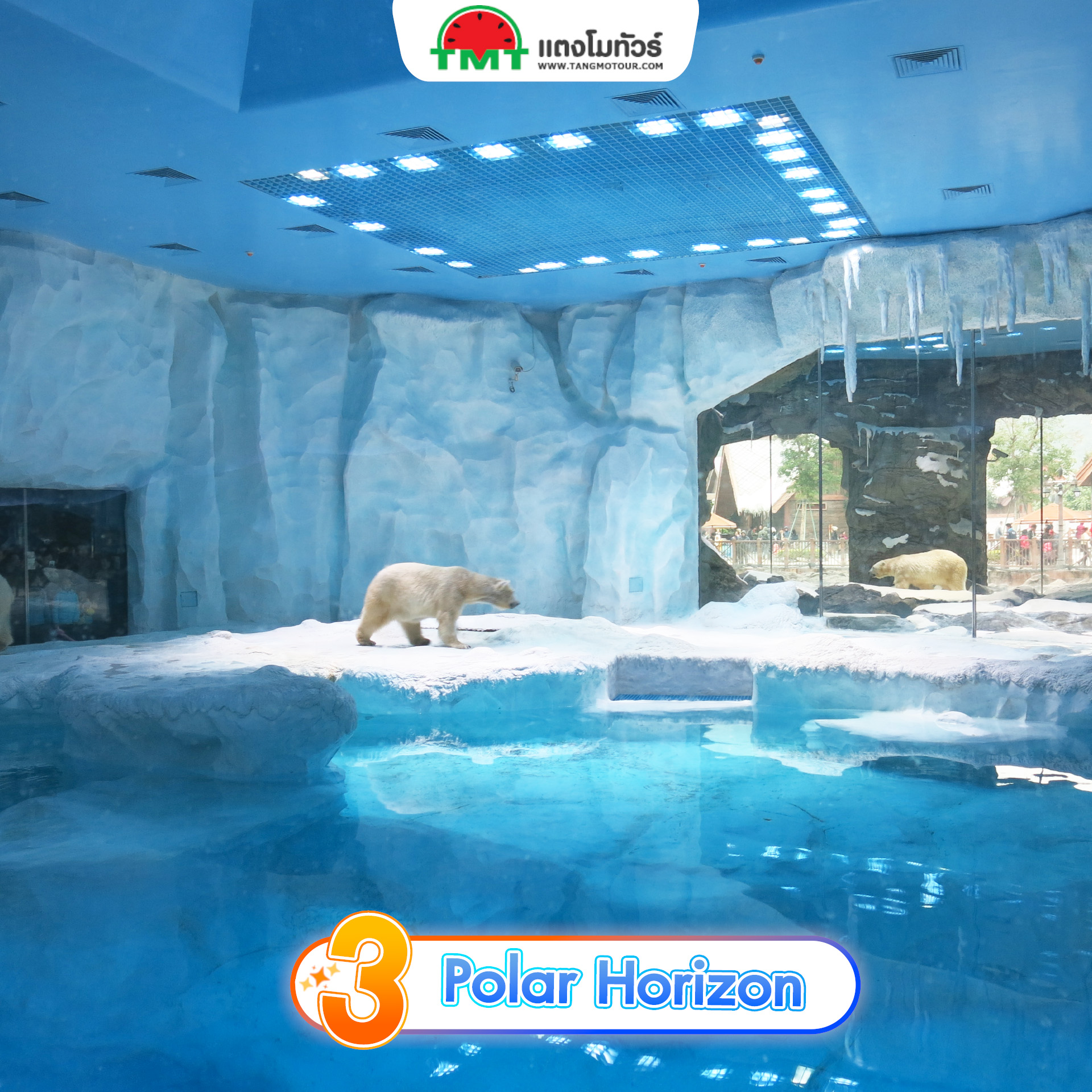 โซน Polar Horizon