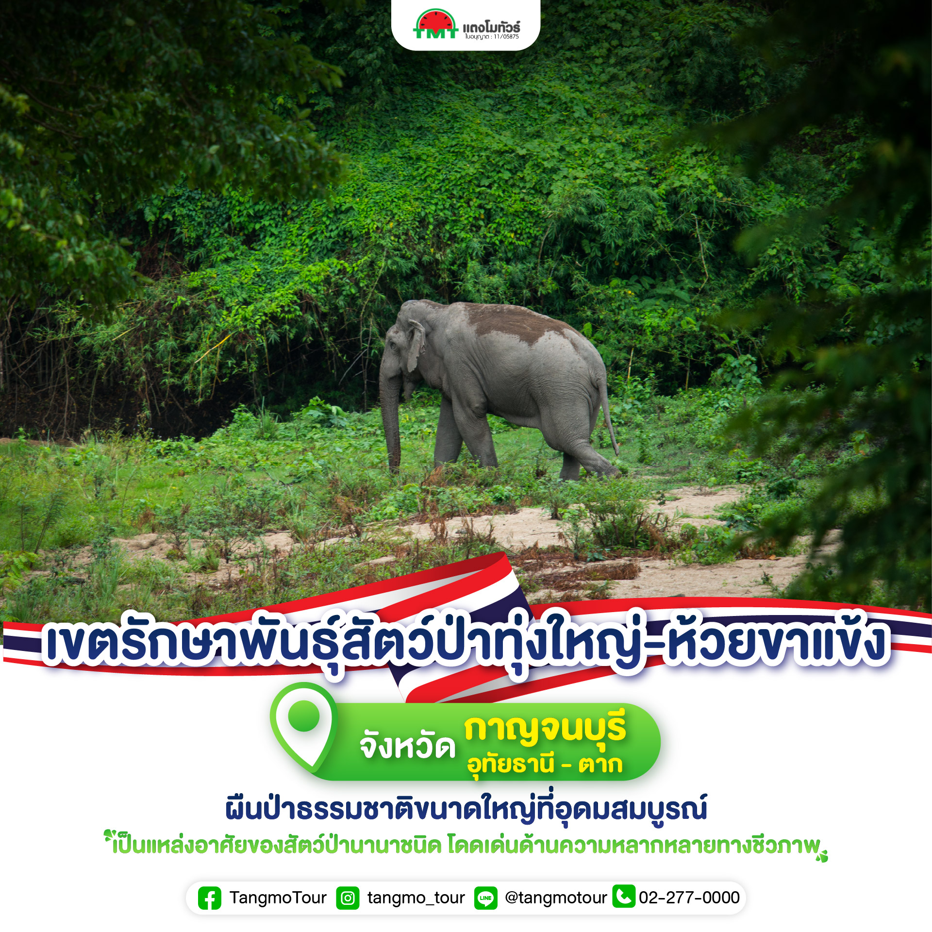 ทุ่งใหญ่ ห้วยขาแข้ง